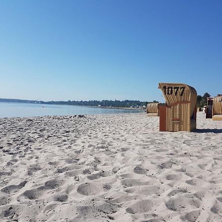 Zwergtaucher Eckernförde Kültér fotó
